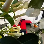 Les Dômes du Parc 4e App T3 et T1 proche de toutes commodités