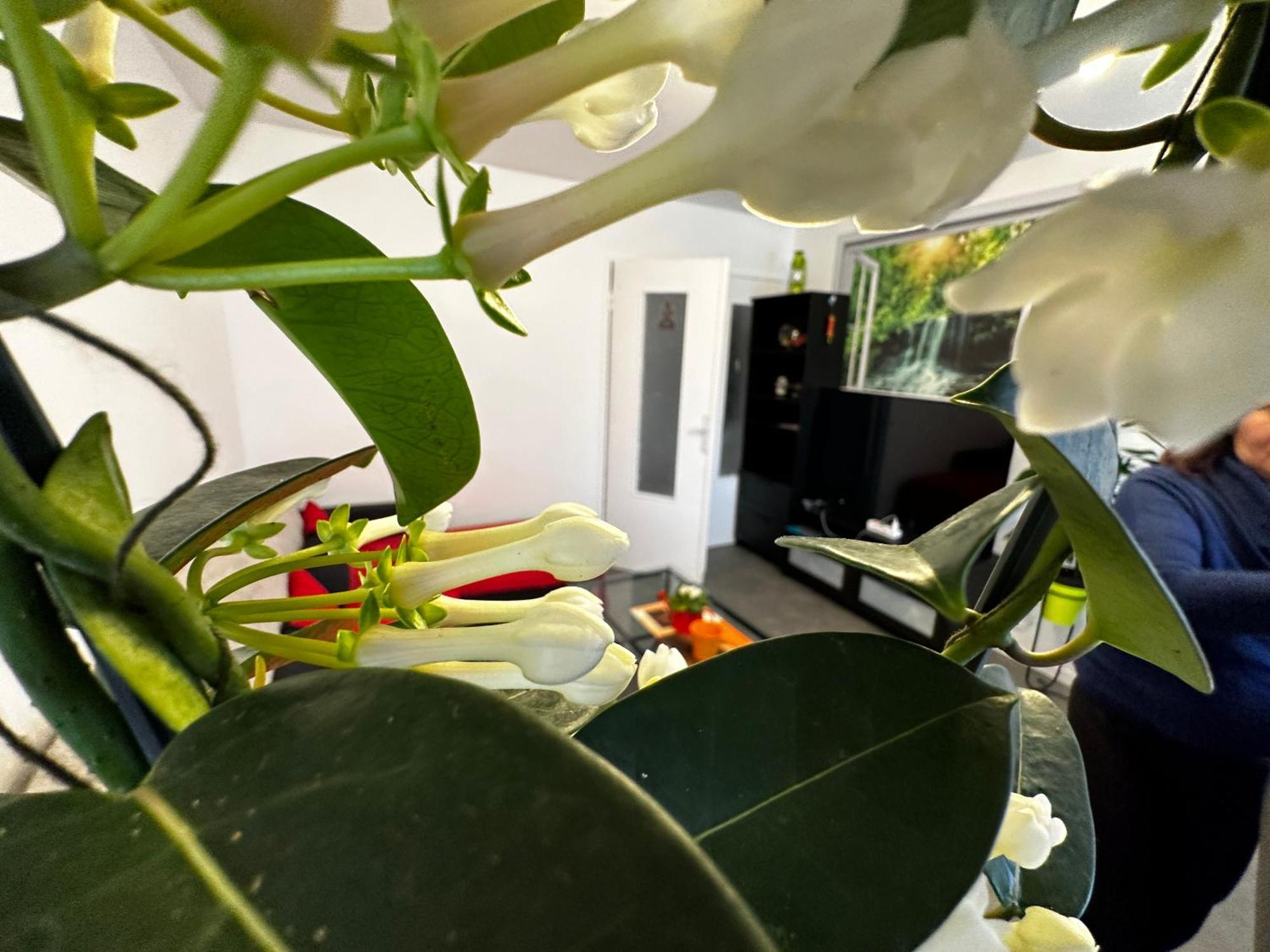 Les Dômes Du Parc 4e App T3 Et T1 Proche De Toutes Commodités Appartement *